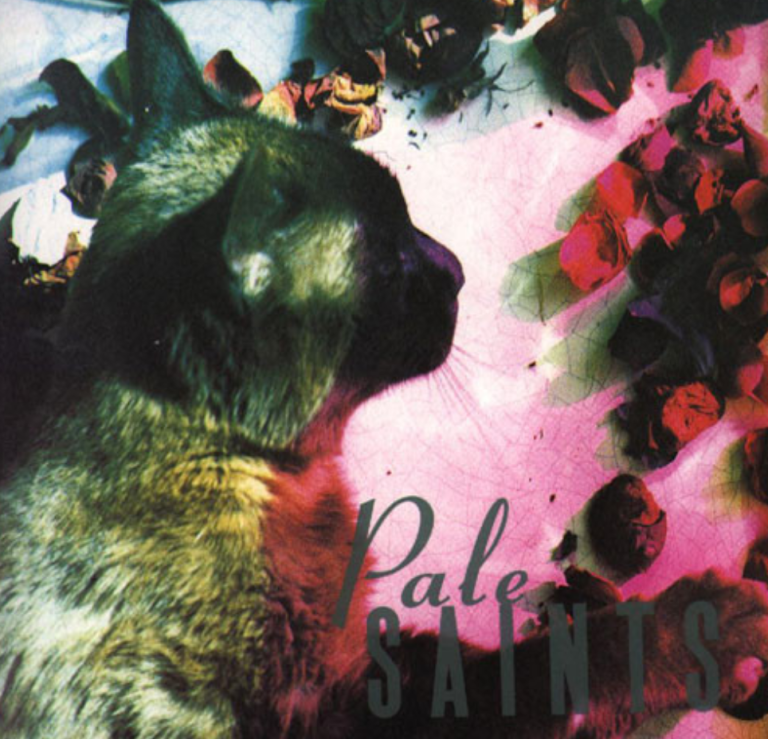 Mes 5 vinyles Écossais